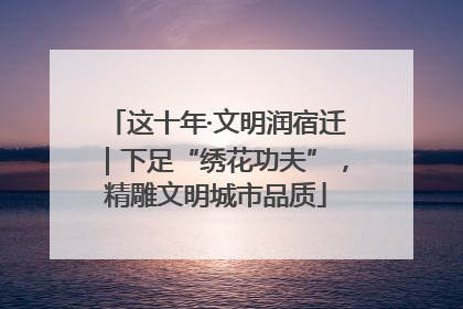 这十年·文明润宿迁｜下足“绣花功夫”，精雕文明城市品质