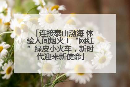 连接泰山渤海 体验人间烟火！“网红”绿皮小火车，新时代迎来新使命