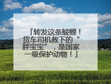 转发这条鲮鲤！货车司机救下的“胖宝宝”，是国家一级保护动物！
