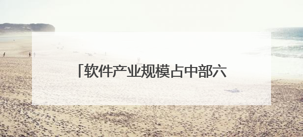 软件产业规模占中部六省总量逾半 湖北“软实力”引来杭州两小龙