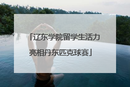 辽东学院留学生活力亮相丹东匹克球赛