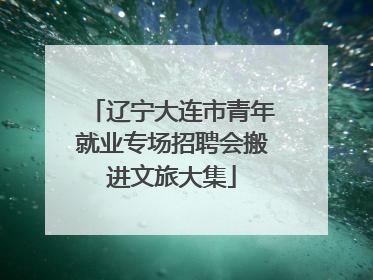 辽宁大连市青年就业专场招聘会搬进文旅大集