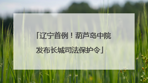 辽宁首例！葫芦岛中院发布长城司法保护令