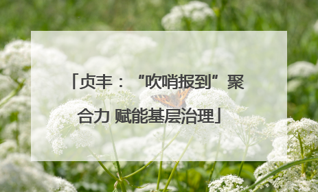 贞丰：“吹哨报到”聚合力 赋能基层治理