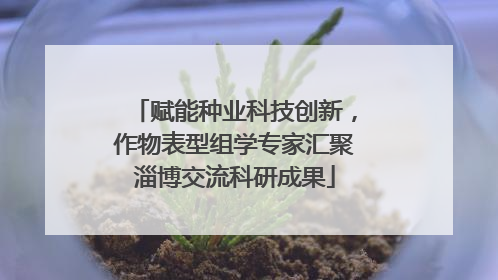 赋能种业科技创新，作物表型组学专家汇聚淄博交流科研成果