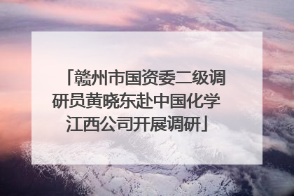 赣州市国资委二级调研员黄晓东赴中国化学江西公司开展调研