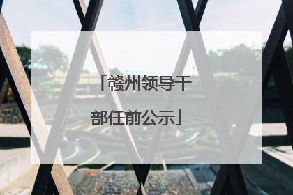 赣州领导干部任前公示