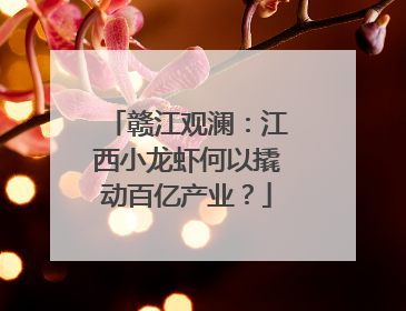 赣江观澜：江西小龙虾何以撬动百亿产业？