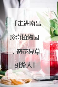 走进南昌珍奇植物园：奇花异草引游人