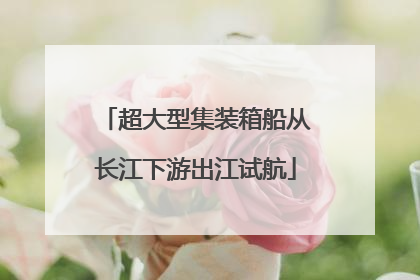 超大型集装箱船从长江下游出江试航