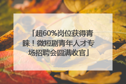 超60%岗位获得青睐！微短剧青年人才专场招聘会圆满收官