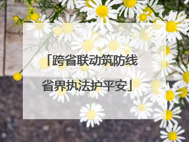 跨省联动筑防线 省界执法护平安