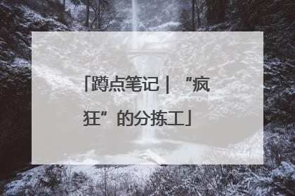 蹲点笔记｜“疯狂”的分拣工