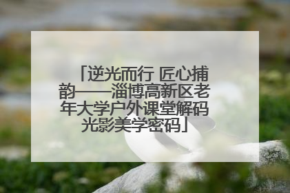 逆光而行 匠心捕韵——淄博高新区老年大学户外课堂解码光影美学密码