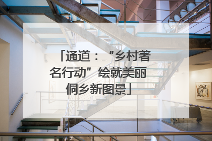 通道：“乡村著名行动”绘就美丽侗乡新图景