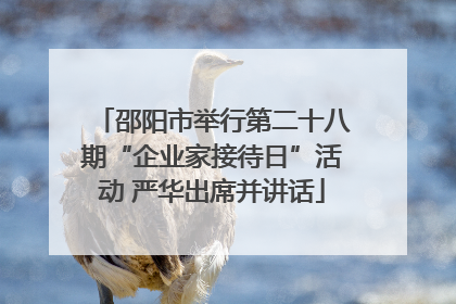 邵阳市举行第二十八期“企业家接待日”活动 严华出席并讲话