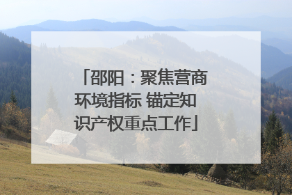 邵阳：聚焦营商环境指标 锚定知识产权重点工作
