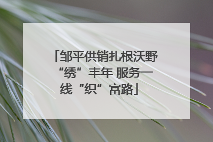 邹平供销扎根沃野“绣”丰年 服务一线“织”富路
