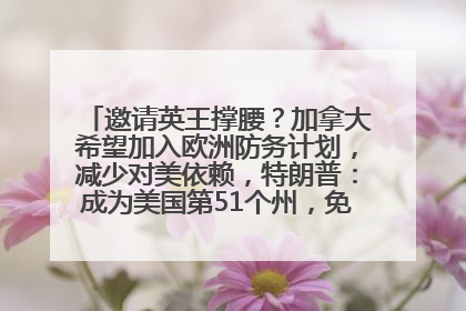 邀请英王撑腰？加拿大希望加入欧洲防务计划，减少对美依赖，特朗普：成为美国第51个州，免费用“金穹”