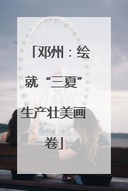 邓州：绘就“三夏”生产壮美画卷