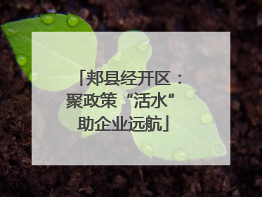 郏县经开区：聚政策“活水” 助企业远航