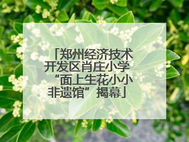 郑州经济技术开发区肖庄小学“面上生花小小非遗馆”揭幕