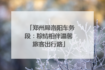 郑州局洛阳车务段：粽情相伴温馨旅客出行路