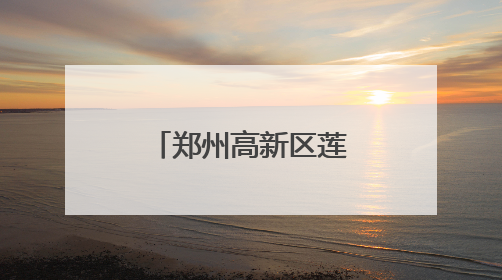 郑州高新区莲花街小学检查作业促教学