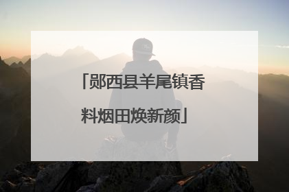 郧西县羊尾镇香料烟田焕新颜