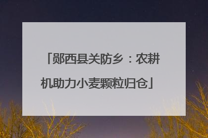 郧西县关防乡：农耕机助力小麦颗粒归仓