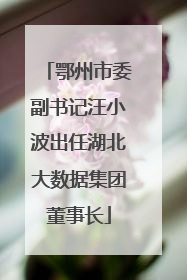 鄂州市委副书记汪小波出任湖北大数据集团董事长