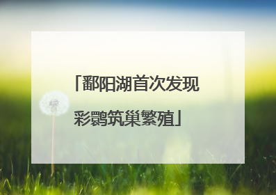 鄱阳湖首次发现彩鹮筑巢繁殖
