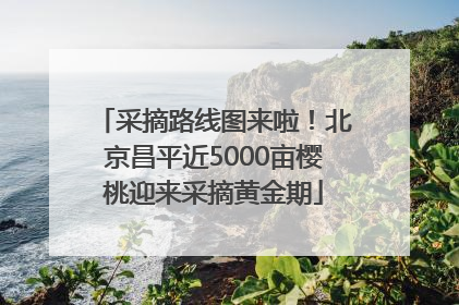 采摘路线图来啦！北京昌平近5000亩樱桃迎来采摘黄金期