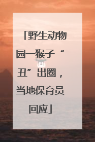 野生动物园一猴子“丑”出圈，当地保育员回应