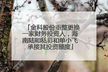 金科股份重整更换一家财务投资人，海南陆和私募和单小飞承接其投资额度
