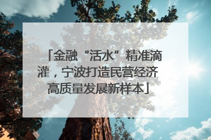 金融“活水”精准滴灌，宁波打造民营经济高质量发展新样本