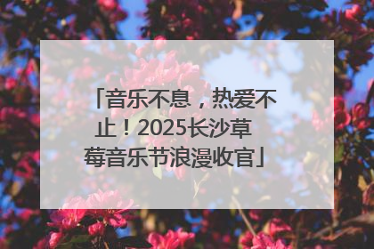 音乐不息，热爱不止！2025长沙草莓音乐节浪漫收官