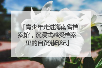青少年走进海南省档案馆，沉浸式感受档案里的自贸港印记