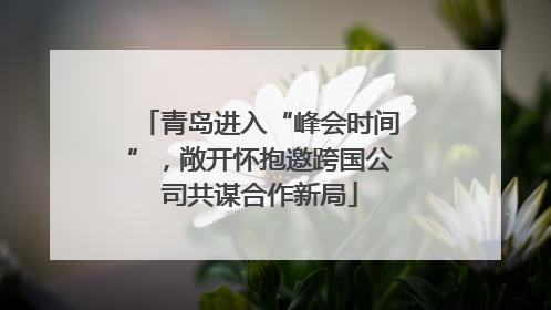 青岛进入“峰会时间”，敞开怀抱邀跨国公司共谋合作新局