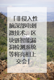 非侵入性脑深部电刺激技术、区块链智能漏洞检测系统等将亮相上交会