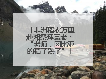 非洲稻农万里赴湘祭拜袁老：“老师，冈比亚的稻子熟了”