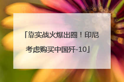 靠实战火爆出圈！印尼考虑购买中国歼-10