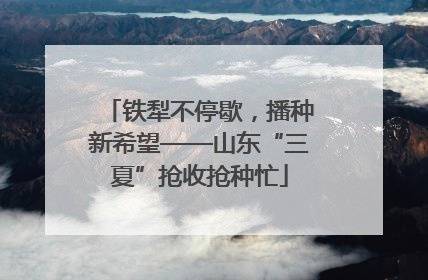 铁犁不停歇，播种新希望——山东“三夏”抢收抢种忙