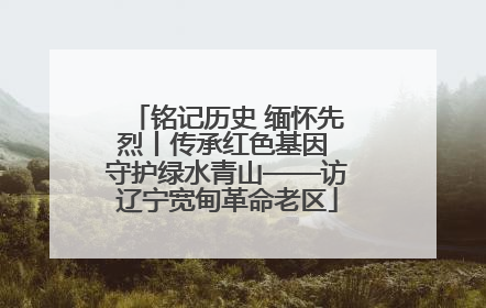 铭记历史 缅怀先烈丨传承红色基因 守护绿水青山——访辽宁宽甸革命老区