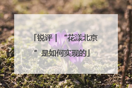 锐评｜“花漾北京”是如何实现的