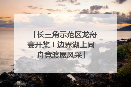 长三角示范区龙舟赛开桨！边界湖上同舟竞渡展风采
