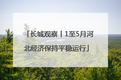 长城观察丨1至5月河北经济保持平稳运行
