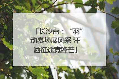 长沙南：“羽”动赛场展风采 汗洒征途竞锋芒