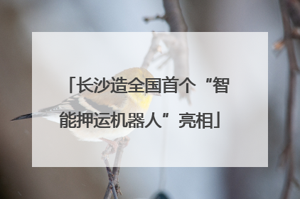 长沙造全国首个“智能押运机器人”亮相