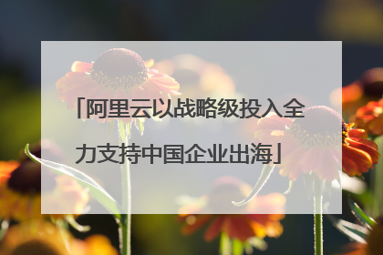 阿里云以战略级投入全力支持中国企业出海
